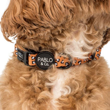 Load image into Gallery viewer, Pablo & Co That Leopard Print Collar
