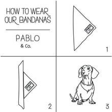 Load image into Gallery viewer, Pablo & Co The Floral Edit Bandana