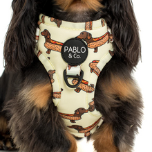 Load image into Gallery viewer, Pablo & Co Wiener Dogs Adjustable Harness