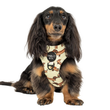 Load image into Gallery viewer, Pablo & Co Wiener Dogs Adjustable Harness