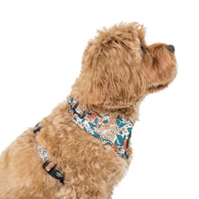 Load image into Gallery viewer, Pablo & Co Wildflowers Adjustable Harness