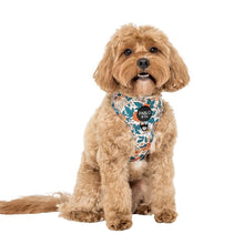 Load image into Gallery viewer, Pablo & Co Wildflowers Adjustable Harness