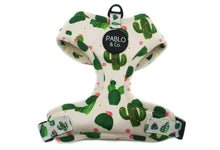 Load image into Gallery viewer, Pablo & Co Cactus Adjustable Harness