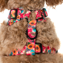 Load image into Gallery viewer, Pablo & Co Floral Edit Adjustable Harness