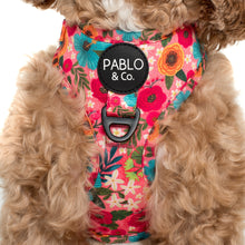 Load image into Gallery viewer, Pablo & Co Floral Edit Adjustable Harness