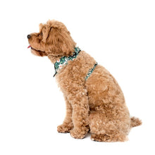 Load image into Gallery viewer, Pablo & Co Flower Garden Adjustable Harness