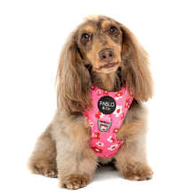 Load image into Gallery viewer, Pablo & Co Flower Power Adjustable Harness