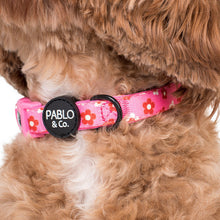 Load image into Gallery viewer, Pablo & Co Flower Power Collar