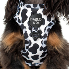 Load image into Gallery viewer, Pablo & Co Moo Moo Adjustable Harness