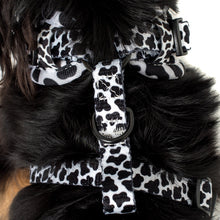 Load image into Gallery viewer, Pablo & Co Moo Moo Adjustable Harness