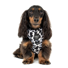 Load image into Gallery viewer, Pablo & Co Moo Moo Adjustable Harness