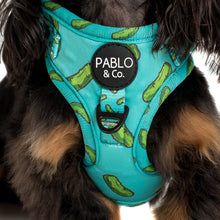 Load image into Gallery viewer, Pablo & Co Pickles Adjustable Harness