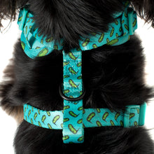 Load image into Gallery viewer, Pablo & Co Pickles Adjustable Harness