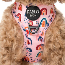 Load image into Gallery viewer, Pablo & Co Pink Rainbows Adjustable Harness