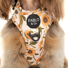 Load image into Gallery viewer, Pablo & Co Sunflower Adjustable Harness