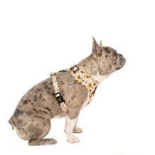Load image into Gallery viewer, Pablo & Co Sunflower Adjustable Harness