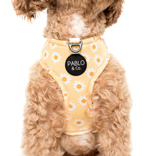 Load image into Gallery viewer, Pablo & Co Yellow Daisy Adjustable Harness