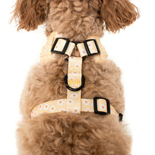 Load image into Gallery viewer, Pablo & Co Yellow Daisy Adjustable Harness