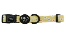 Load image into Gallery viewer, Pablo & Co Yellow Daisy Collar