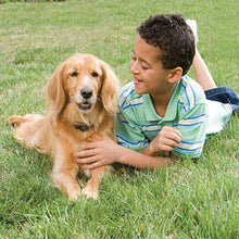 Load image into Gallery viewer, Petsafe In-Ground Fence System