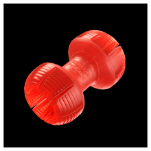 Load image into Gallery viewer, Purina Procare Dental Dumbell