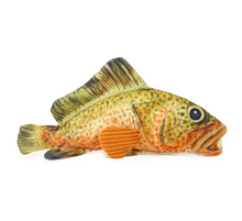 Load image into Gallery viewer, Snuggle Friends Courtney Cod