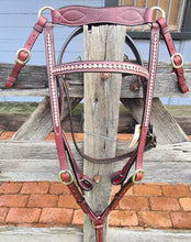Load image into Gallery viewer, Toprail Leather Bridle With Pink Beading