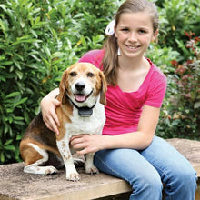 Load image into Gallery viewer, PetSafe In-Ground Fence Add-A-Dog Receiver Collar Rechargeable