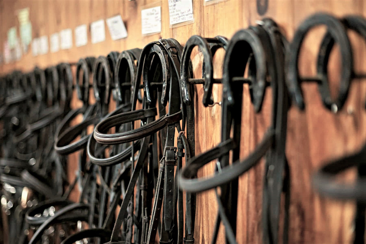TACK RACKS & ACCESSORIES – Saddleworld NT