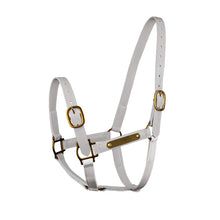 Load image into Gallery viewer, Syd Hill PVC Halter with Nameplate
