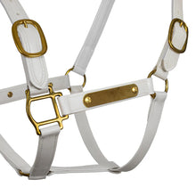 Load image into Gallery viewer, Syd Hill PVC Halter with Nameplate
