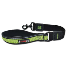 Load image into Gallery viewer, Scream Reflective Bungee Leash With Padded Handle - 3.8Cm
