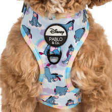 Load image into Gallery viewer, Pablo &amp; Co Eeyore Adjustable Harness

