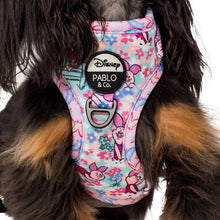 Load image into Gallery viewer, Pablo &amp; Co Piglet Adjustable Harness
