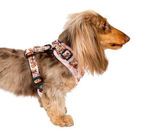 Load image into Gallery viewer, Pablo &amp; Co The One Of A Kind Tigger Adjustable Harness
