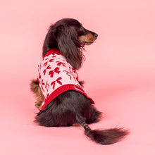 Load image into Gallery viewer, Pablo &amp; Co Blush Bows Sweater
