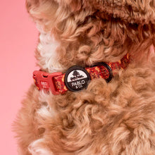 Load image into Gallery viewer, Pablo &amp; Co Harry Potter - Gryffindor - Dog Collar
