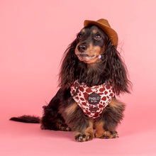 Load image into Gallery viewer, Pablo &amp; Co Rodeo Adjustable Harness
