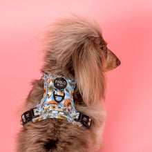 Load image into Gallery viewer, Pablo &amp; Co Sunny Sunflowers No Pull Adventure Harness
