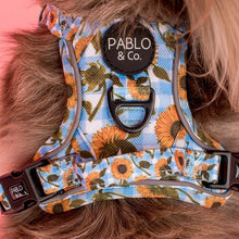Load image into Gallery viewer, Pablo &amp; Co Sunny Sunflowers No Pull Adventure Harness
