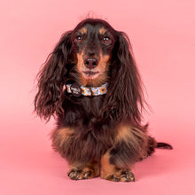 Load image into Gallery viewer, Pablo &amp; Co Sunny Sunflowers Dog Collar
