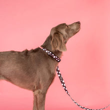 Load image into Gallery viewer, Pablo &amp; Co Polka Dots Dog Collar
