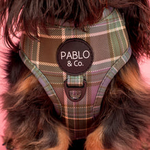 Load image into Gallery viewer, Pablo &amp; Co Green Plaid Adjustable Harness
