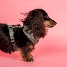 Load image into Gallery viewer, Pablo &amp; Co Green Plaid Adjustable Harness
