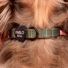 Load image into Gallery viewer, Pablo &amp; Co Green Plaid Dog Collar
