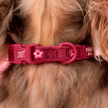 Load image into Gallery viewer, Pablo &amp; Co Bloom Baby Bloom Velvet Dog Collar
