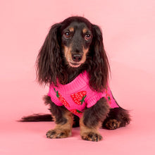 Load image into Gallery viewer, Pablo &amp; Co Strawberries Sweater
