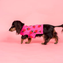 Load image into Gallery viewer, Pablo &amp; Co Strawberries Sweater
