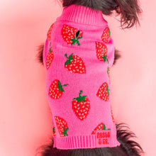 Load image into Gallery viewer, Pablo &amp; Co Strawberries Sweater
