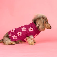 Load image into Gallery viewer, Pablo &amp; Co Bloom Baby Bloom Sweater

